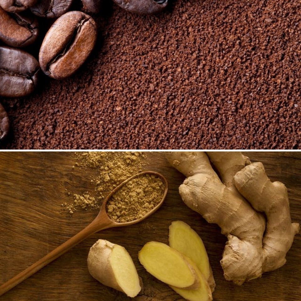 Coffee and Ginger Bar - Stimulating Shampoo & Exfoliating Soap