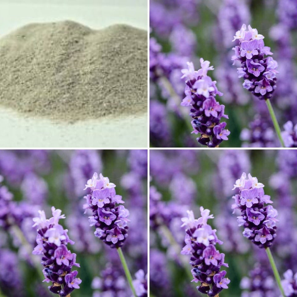 Lavender Exfoliating Pumice Soap