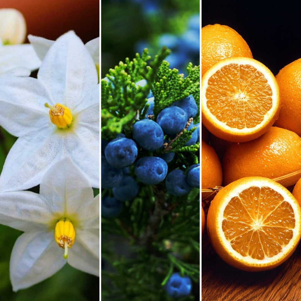 Jasmine, Juniper and Orange Bar - Uplifting Soap and Solid Shampoo