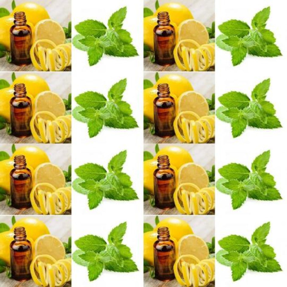 Natural Deodorant Bar with Spearmint and Lemon